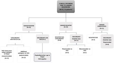 NGS in the clinical microbiology settings